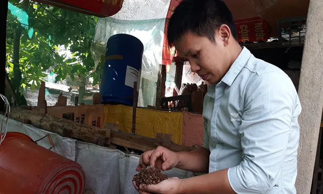 Huế: Chàng trai 9x sản xuất phế phẩm vi sinh từ vỏ đậu
